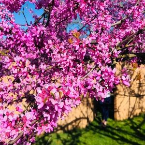 Meet your Posher, Olena